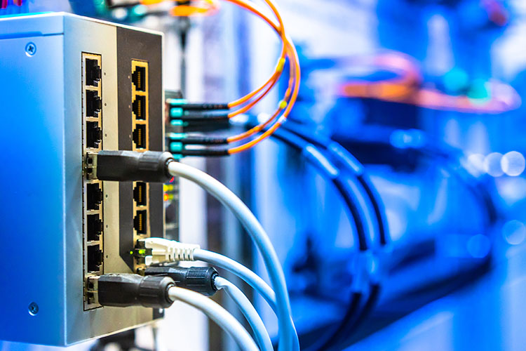 network services